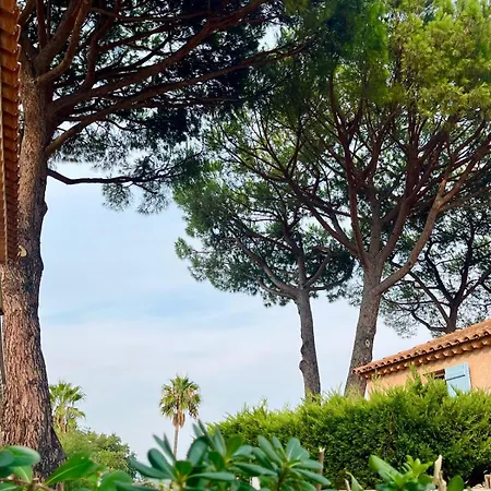 펜션 Domaine Des Vignes Golfe De Saint Tropez 코골렝